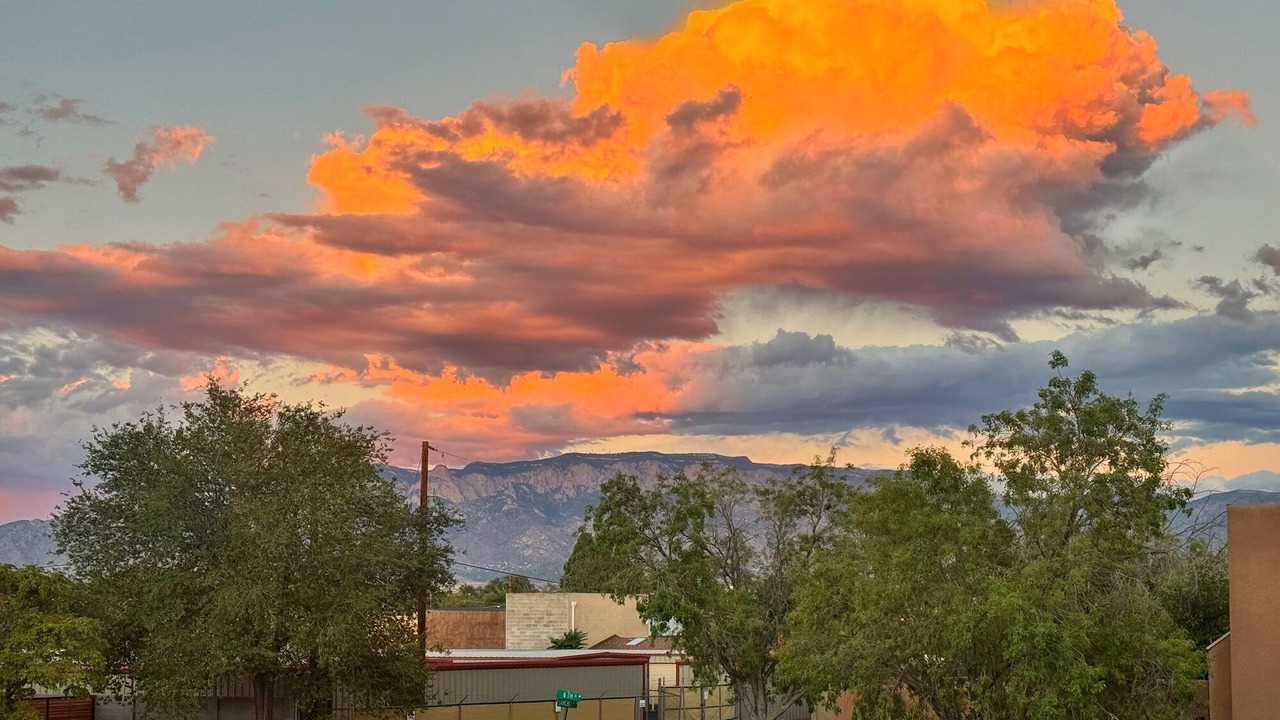 Photo of Others in Albuquerque
