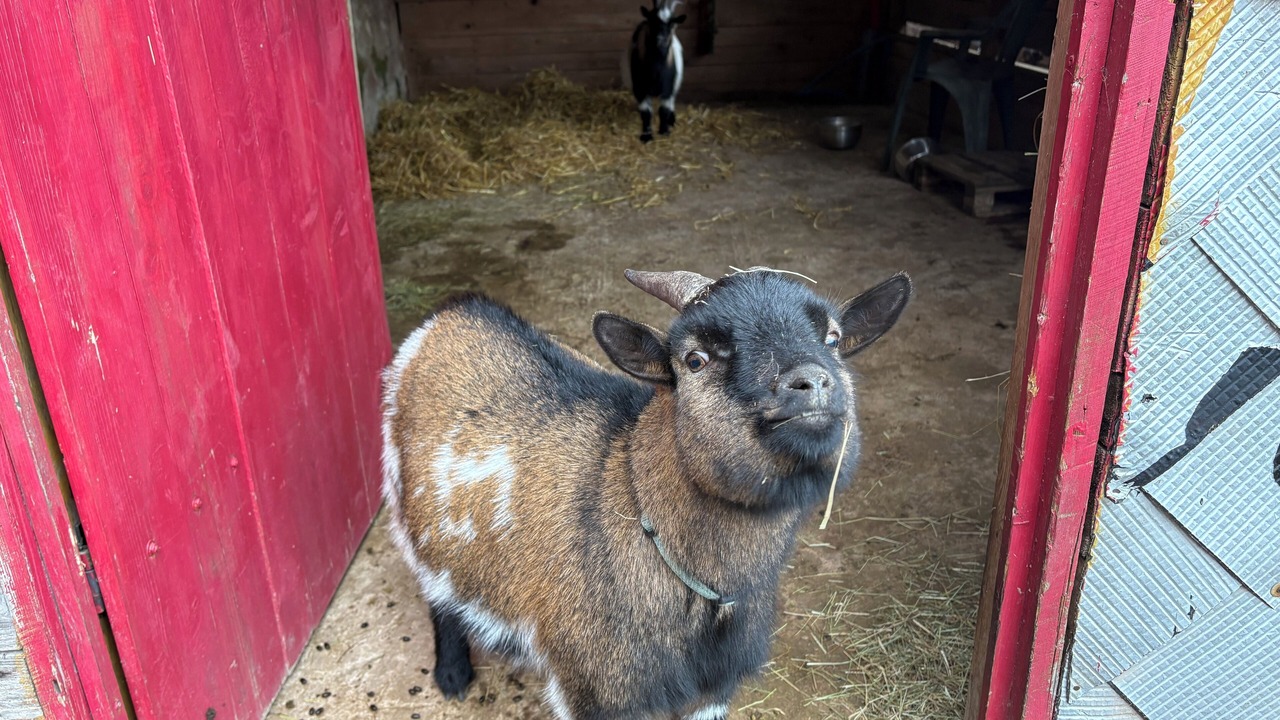 Photo of Others in Lutzelhouse