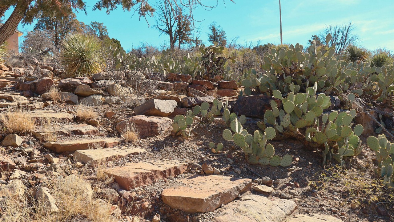 Photo of Outdoor in Truth or Consequences