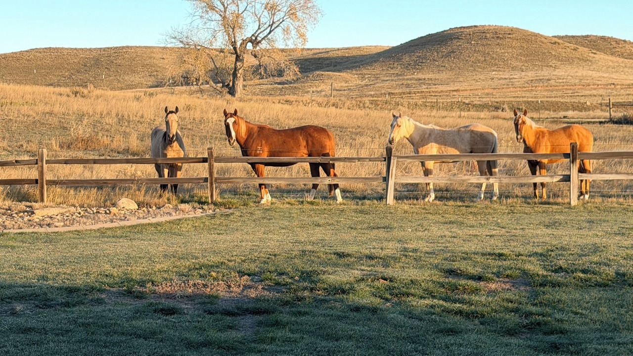 Photo of Others in Glendo