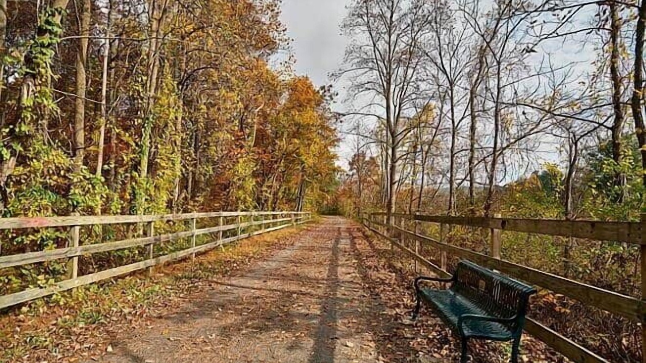 Photo of Outdoor in Springtown