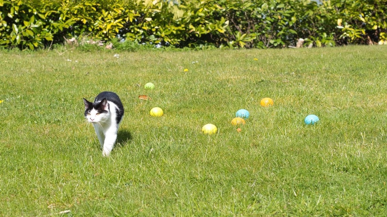 Photo of Others in Aabenraa