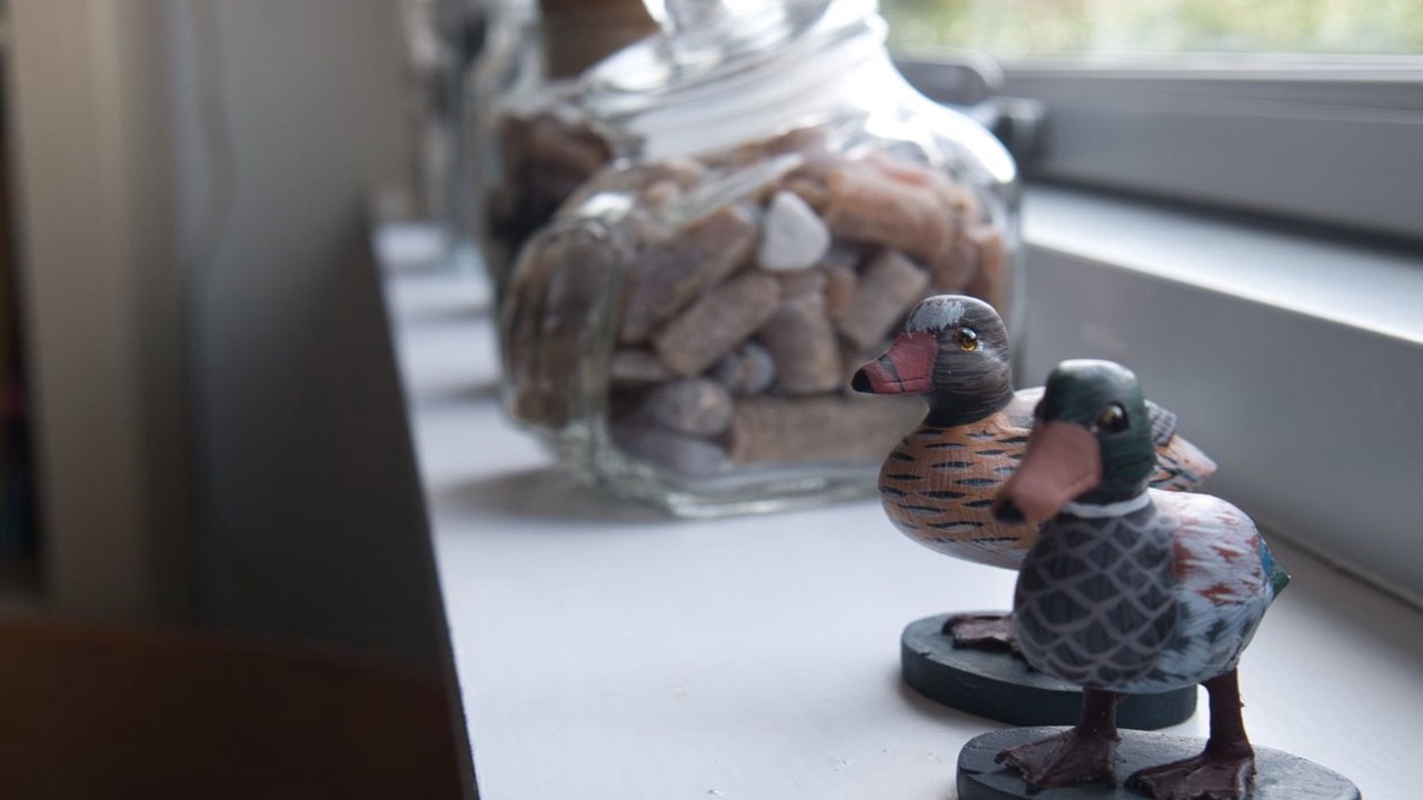 Photo of Others in Aabenraa