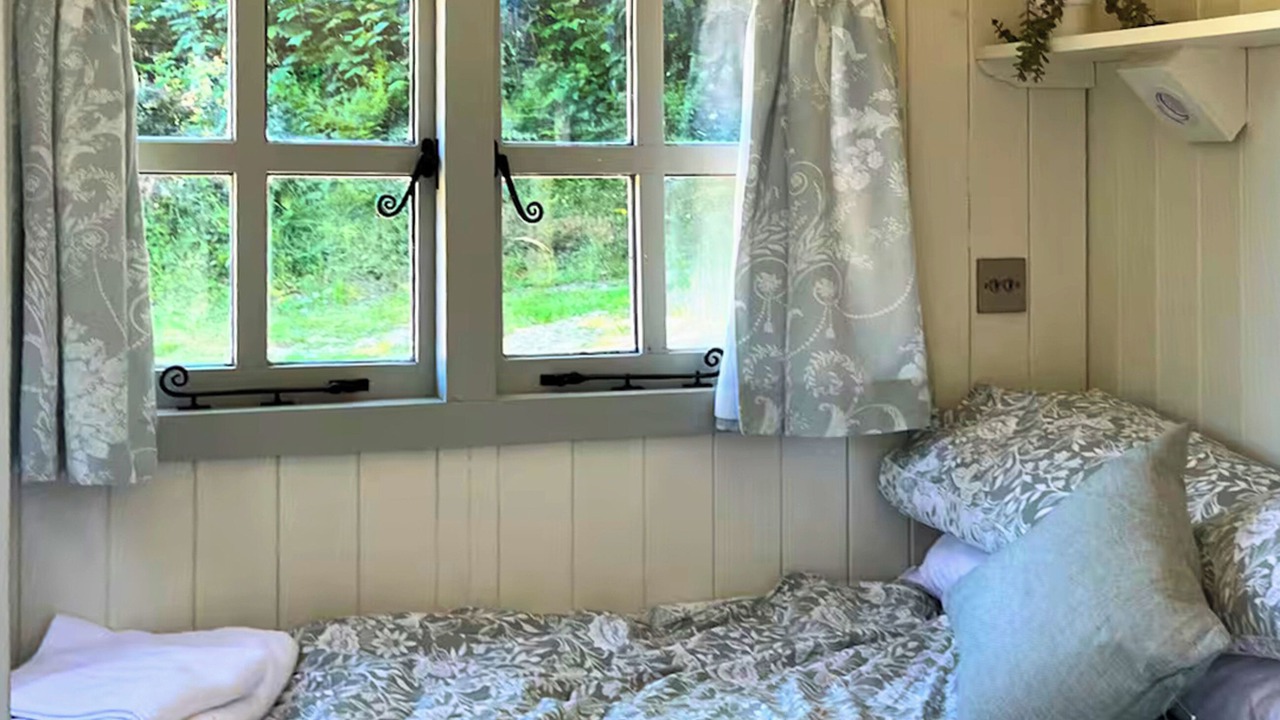 Photo of Others in Halfway House