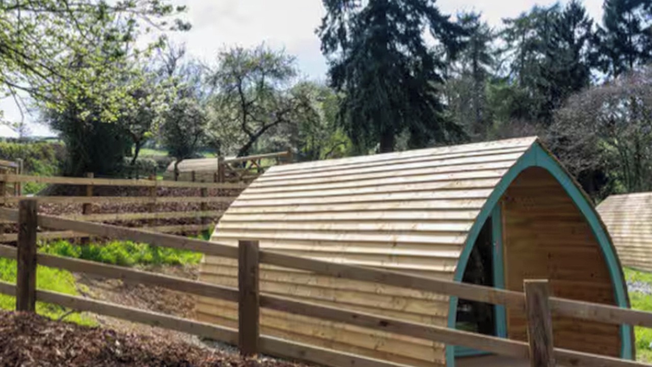 Photo of Outdoor in Halfway House