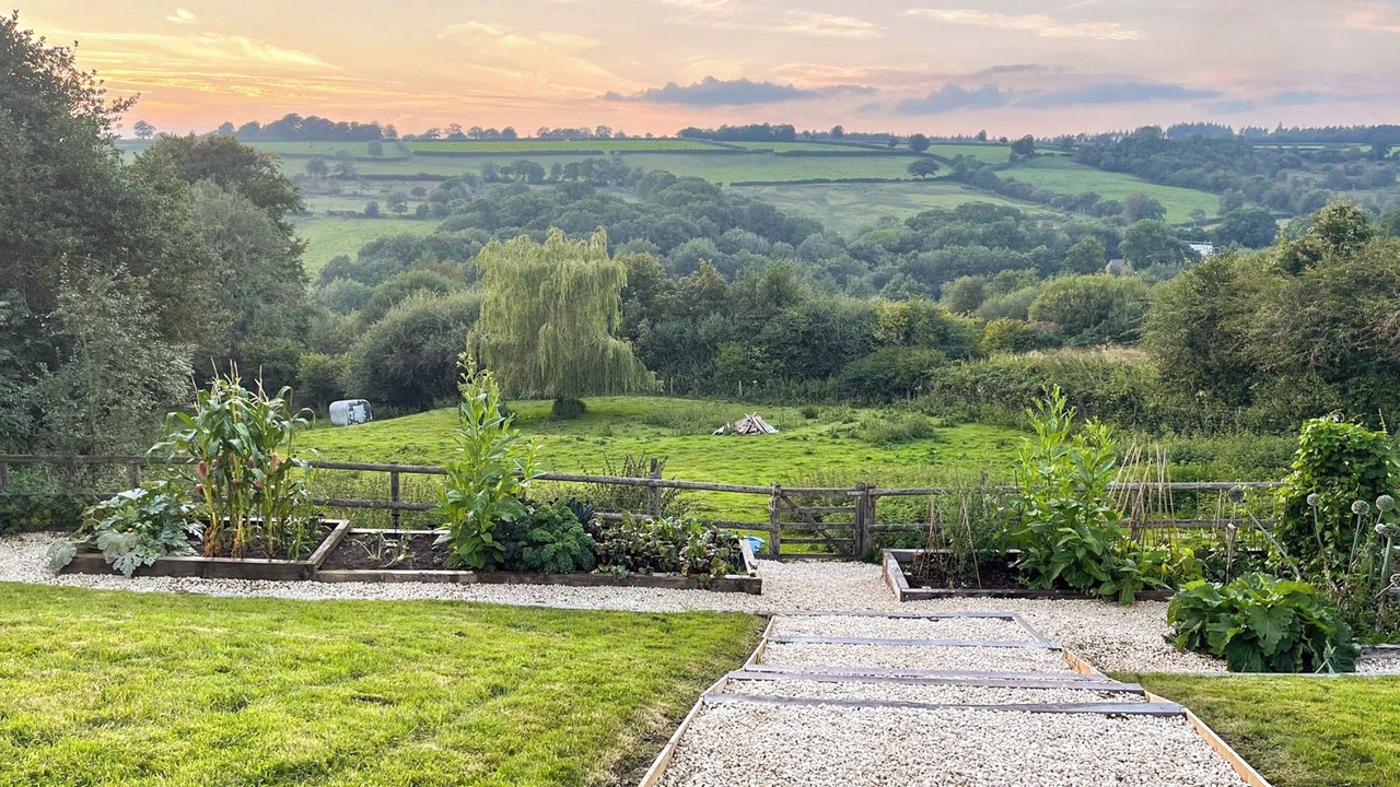 Photo of Others in West Buckland