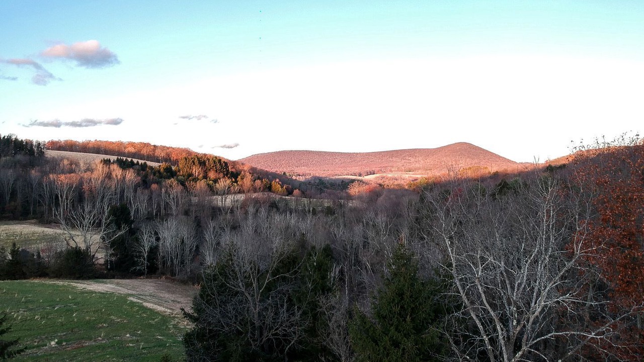 Photo of Others in Ringtown