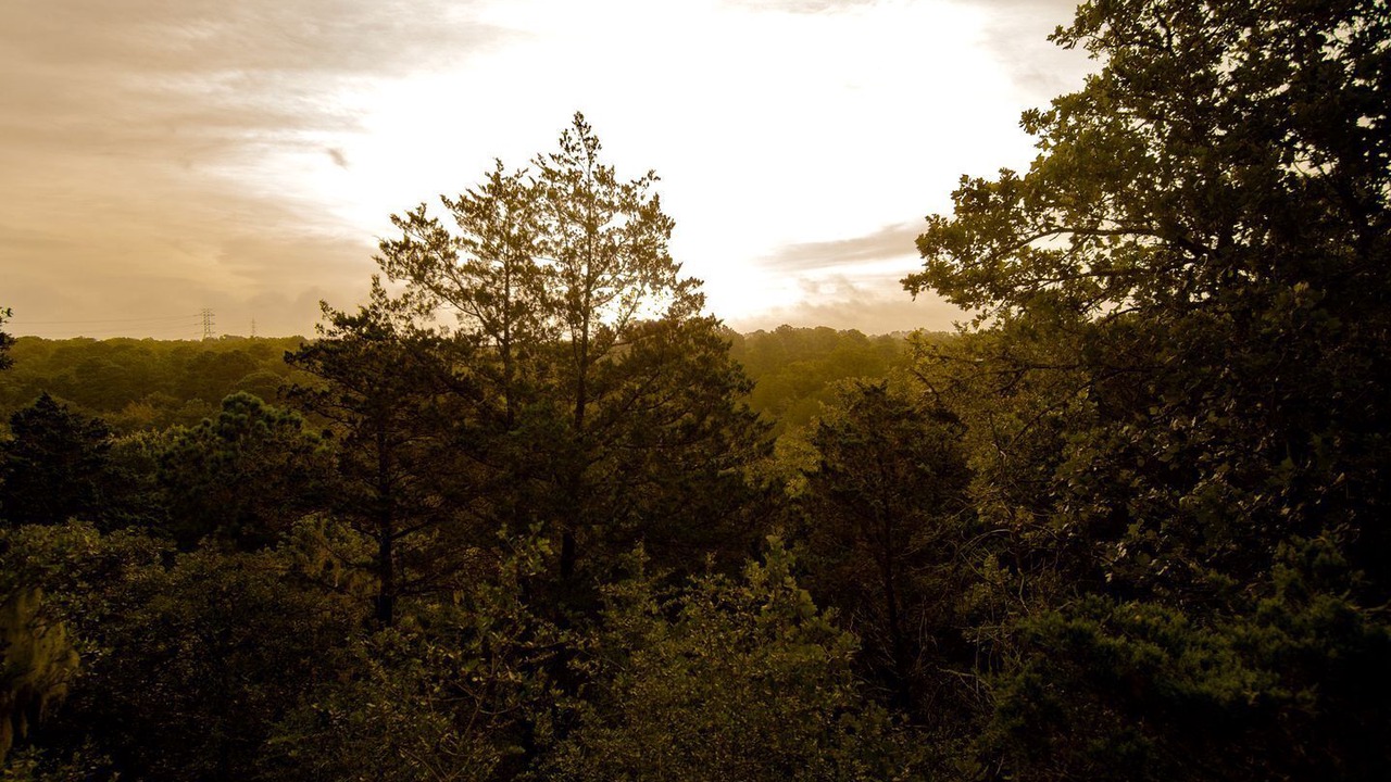 Photo of Others in Bastrop