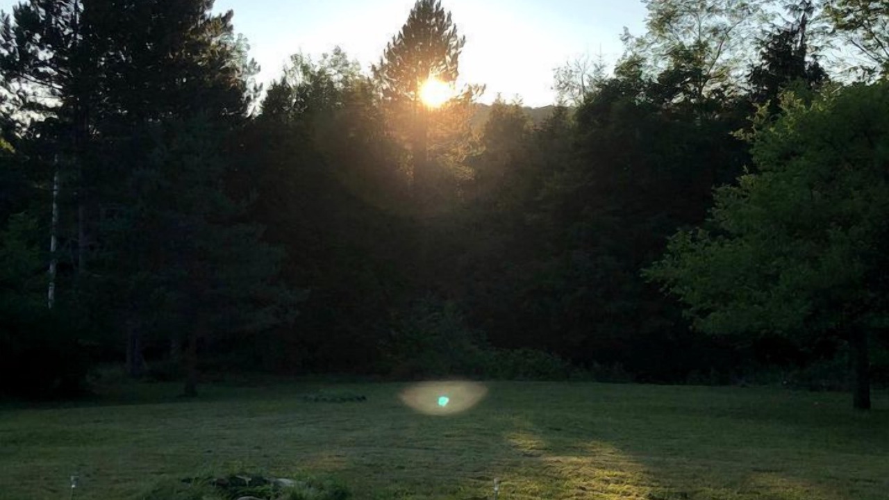 Photo of Others in Roscoe