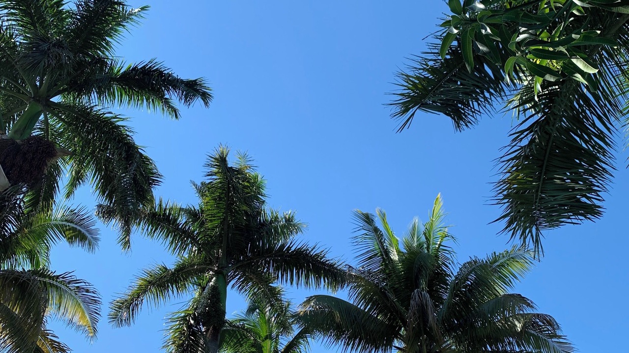 Photo of Outdoor in Tequesquitengo
