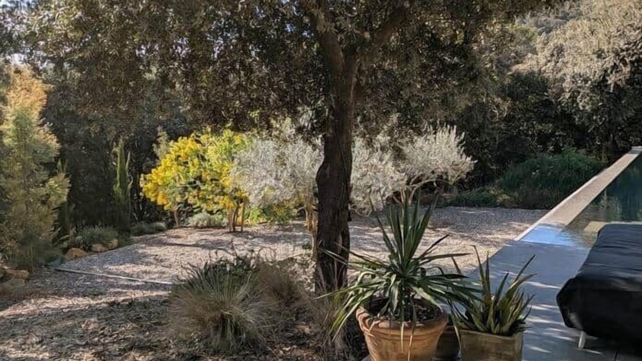 Photo of Outdoor in Piolenc