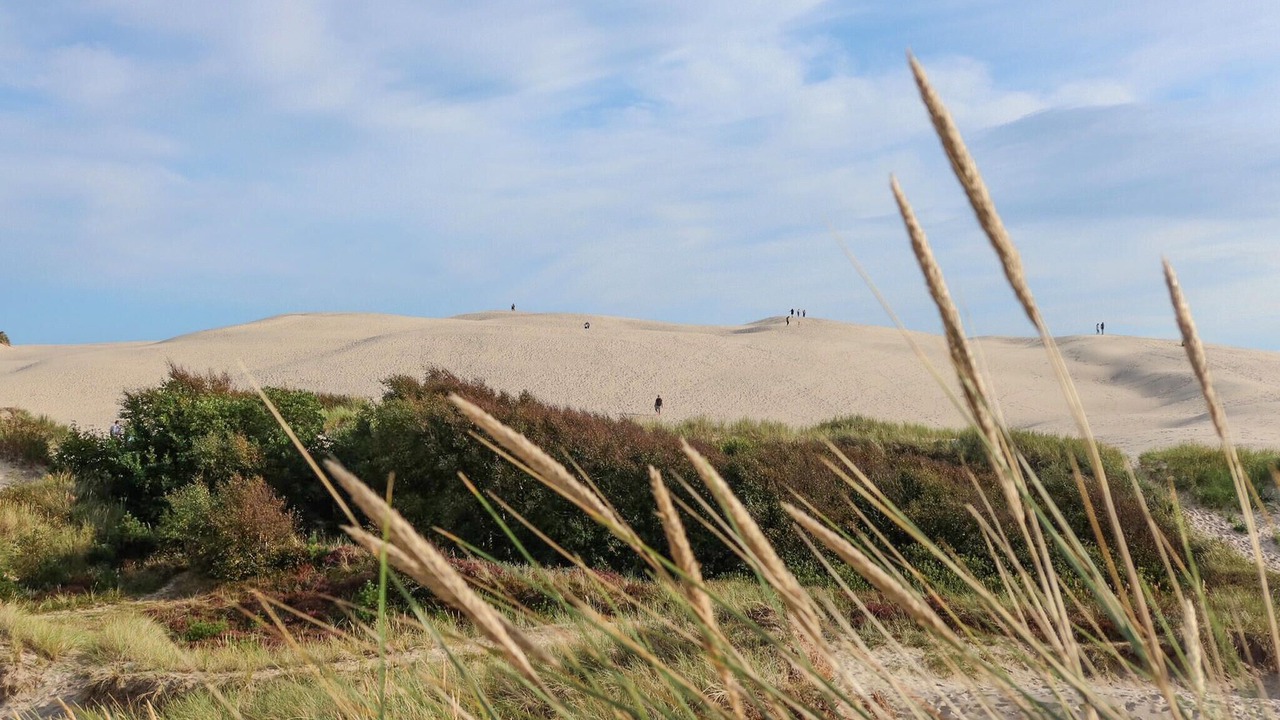Photo of Others in Kandestederne