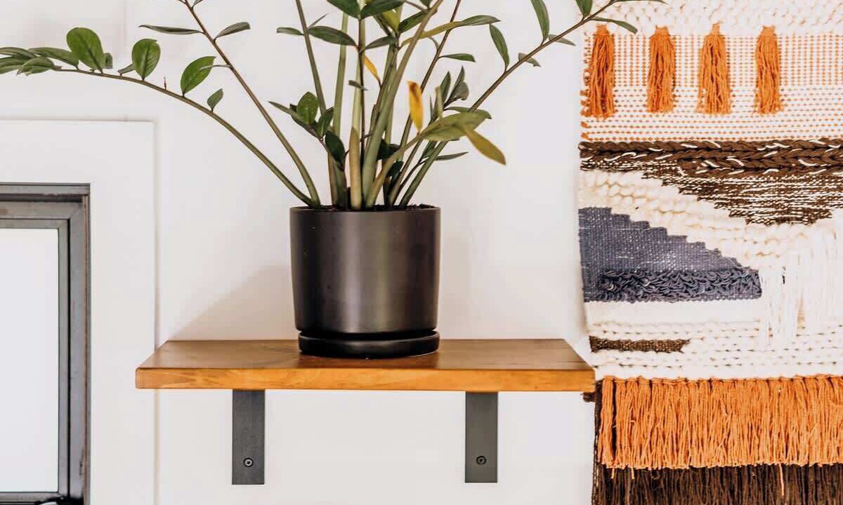 Photo of Others in Jamaica