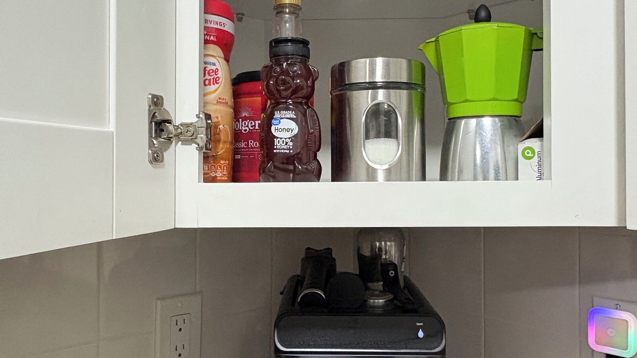 Photo of Others in Apollo Beach