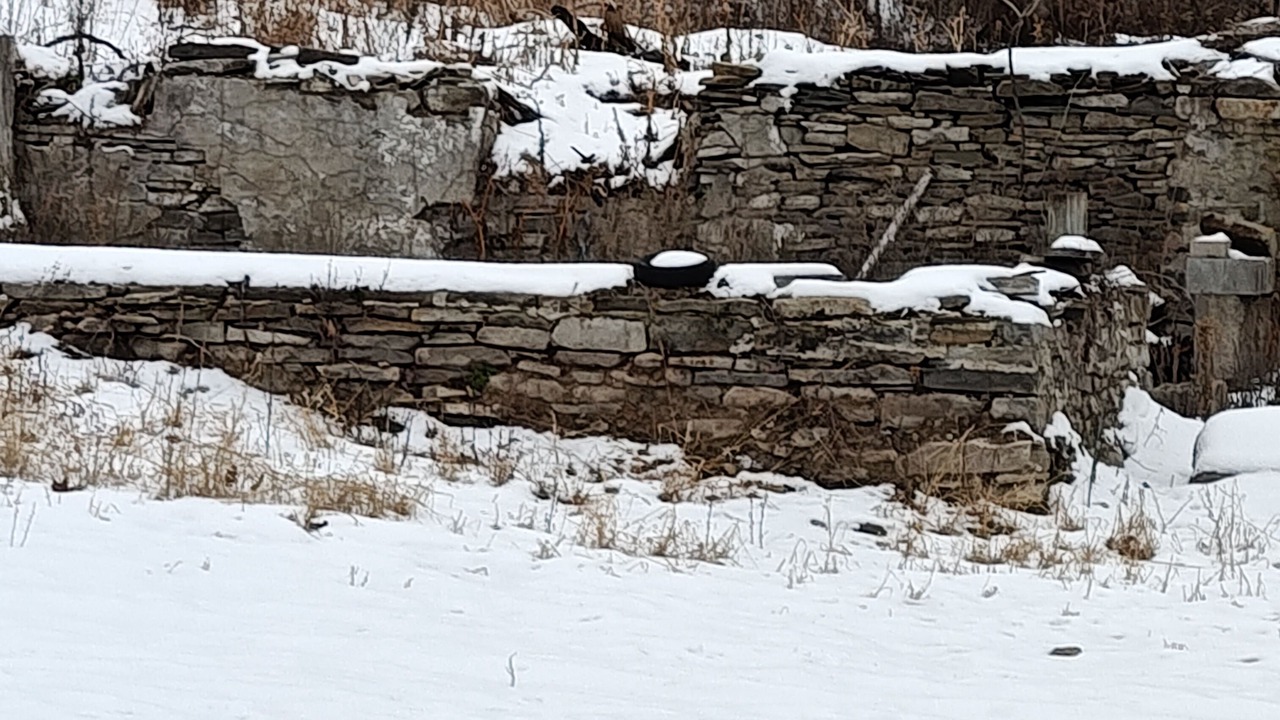 Photo of Others in Millerton