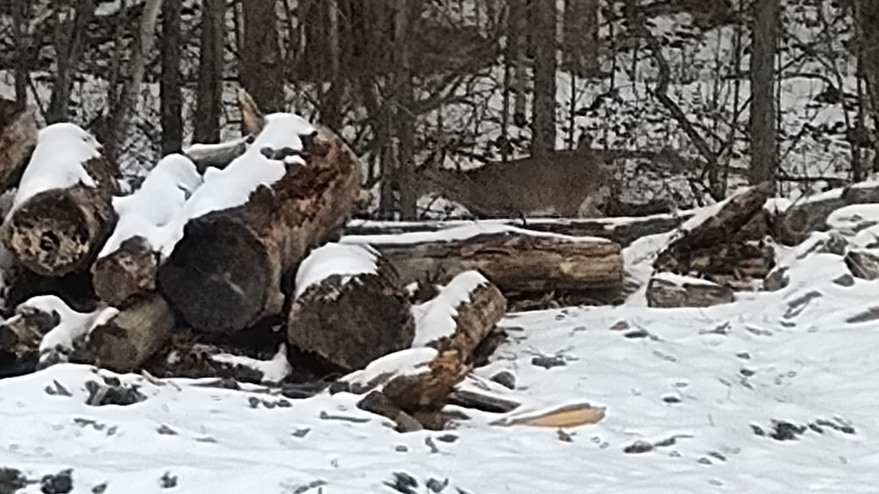Photo of Others in Millerton