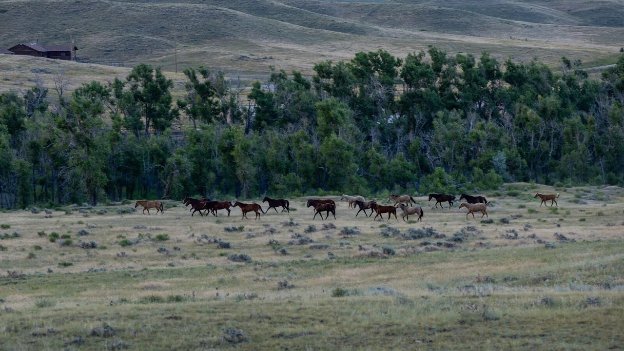Photo of Others in Glendo