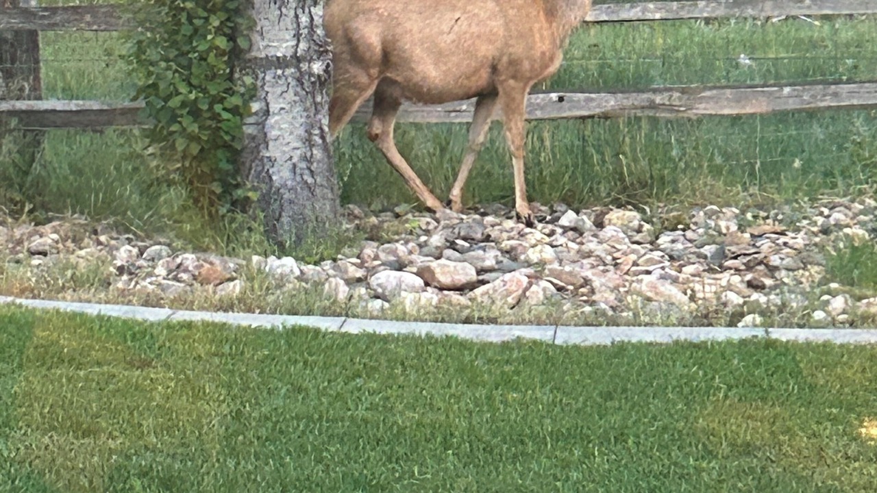 Photo of Others in Glendo
