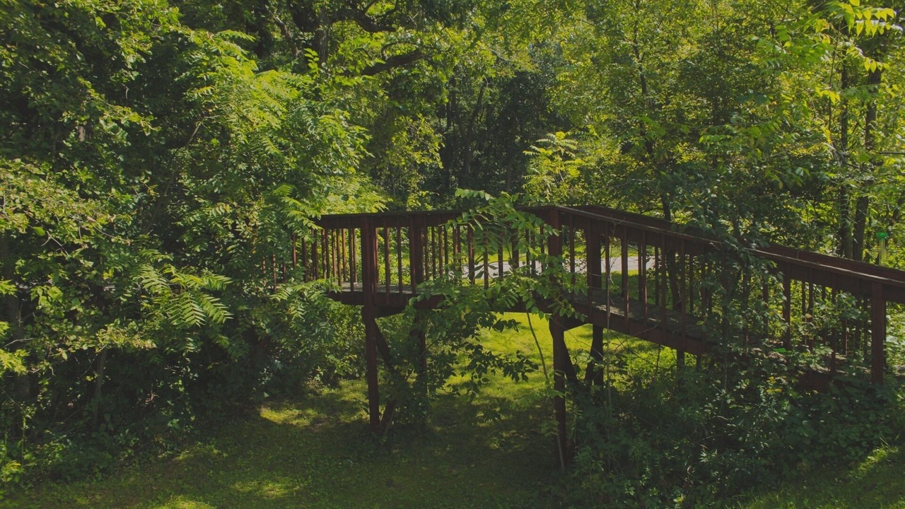 Photo of Outdoor in Arkansaw