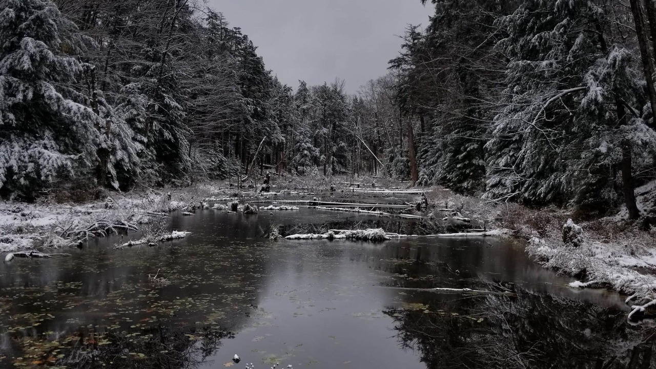 Photo of Others in Trent Lakes