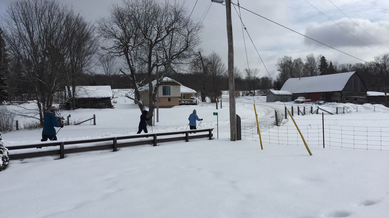 Photo of Others in Trent Lakes