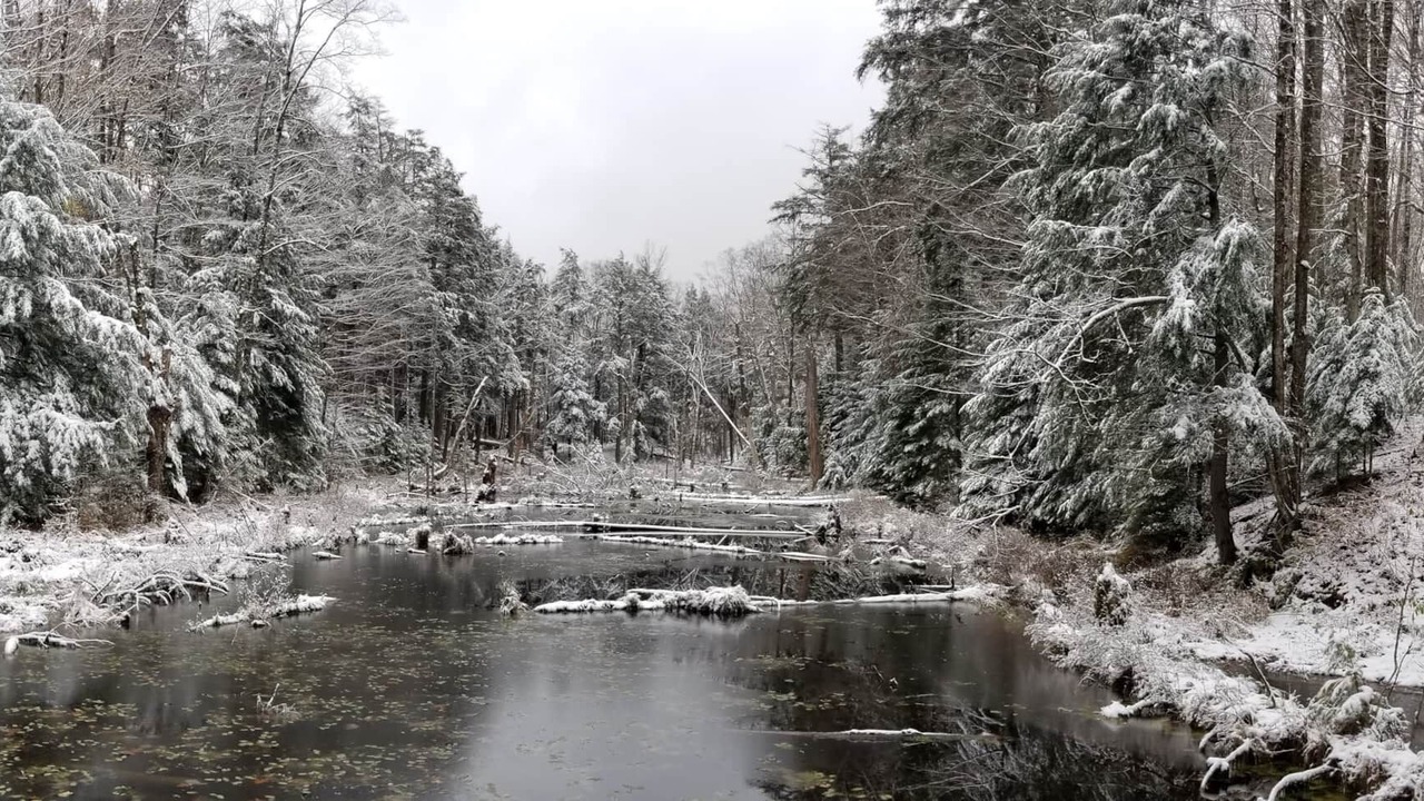 Photo of Others in Trent Lakes