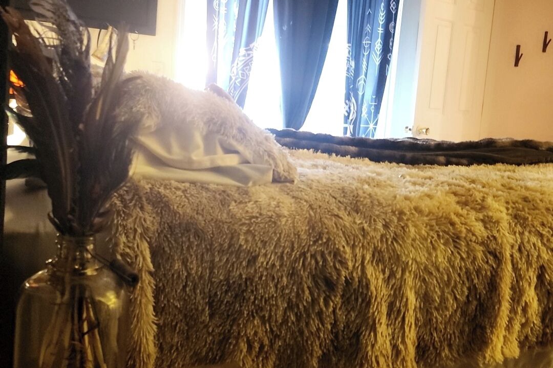 Photo of Bedroom in Boise