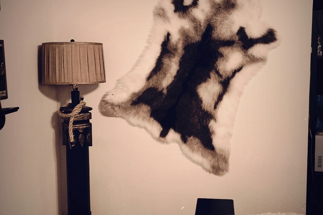 Photo of Others in Boise