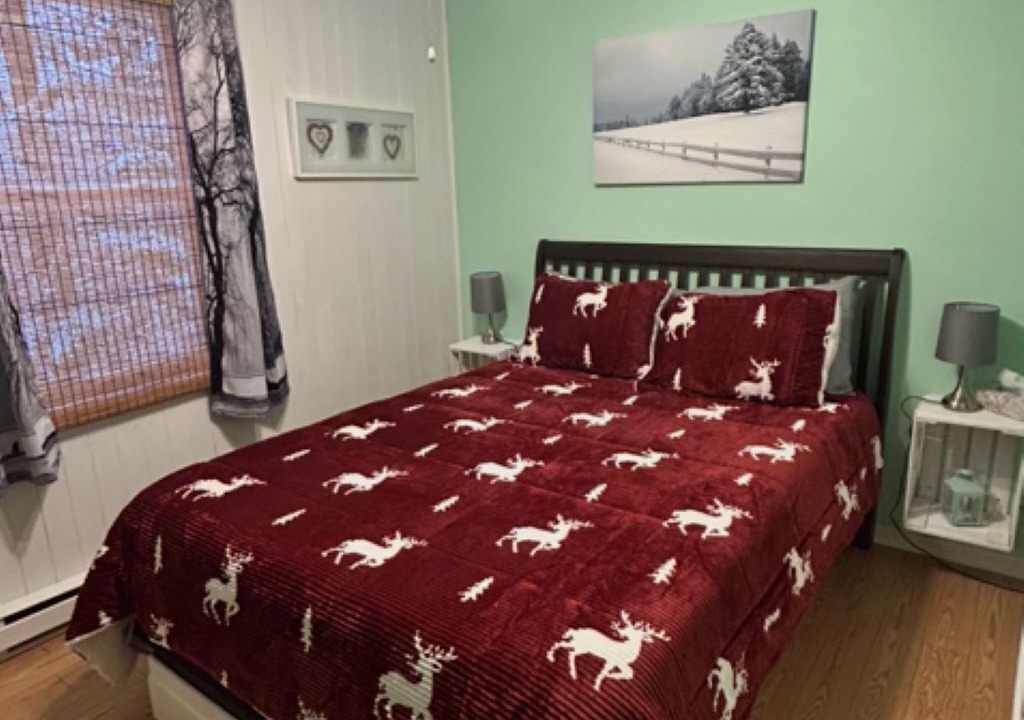 Photo of Bedroom in Entrelacs