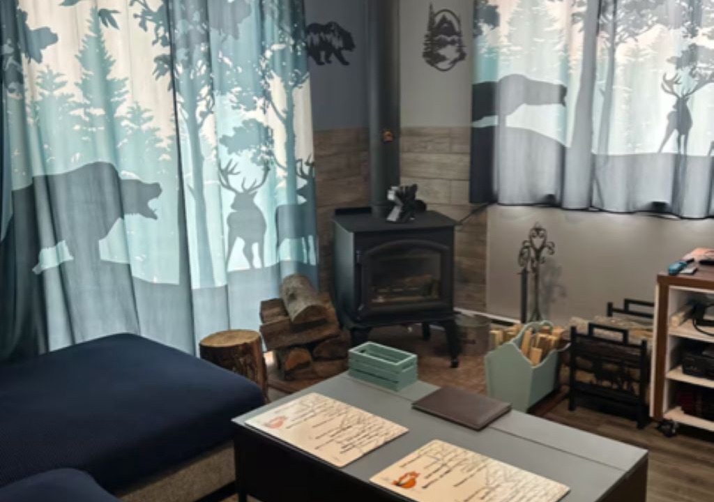 Photo of Livingroom in Entrelacs