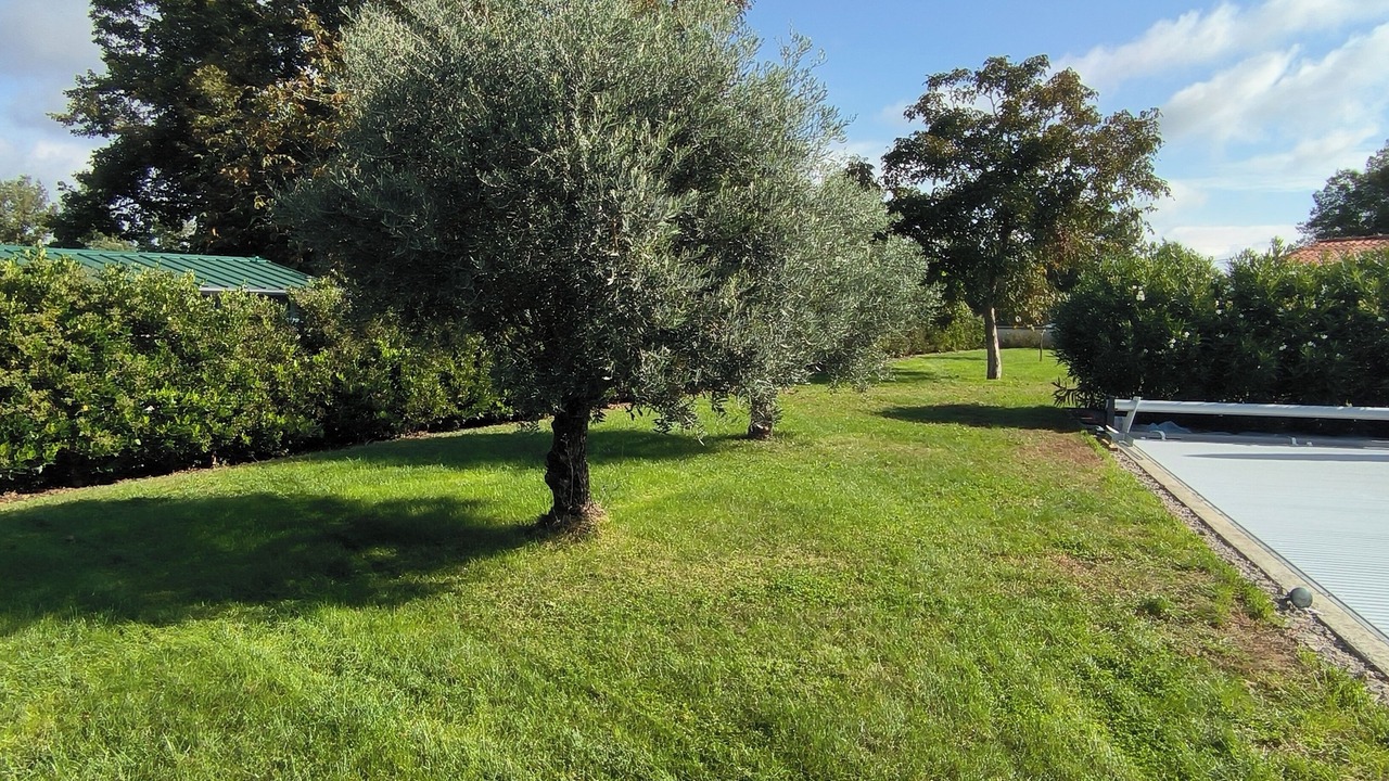 Photo of Outdoor in Lagrave