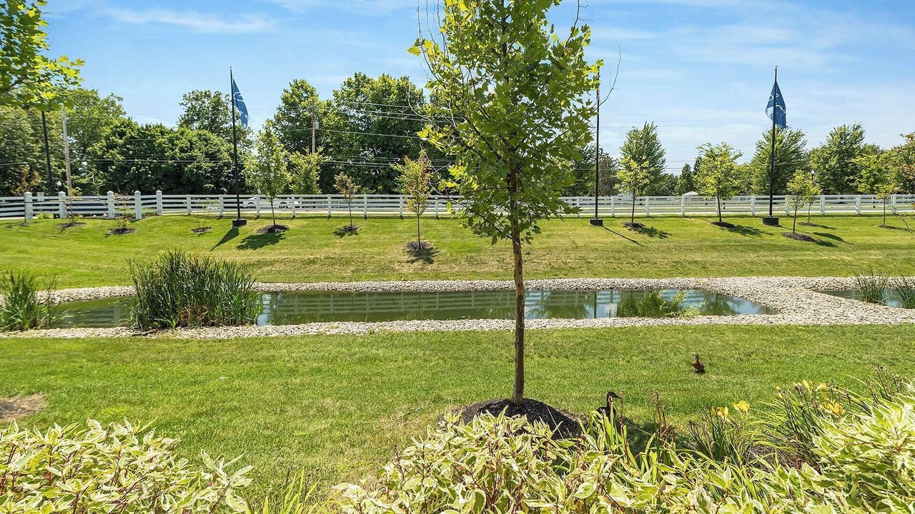 Photo of Outdoor in Preserve North