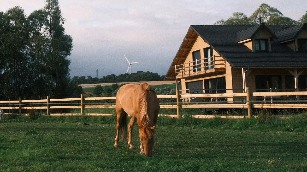 Photo of Others in Beauchamps