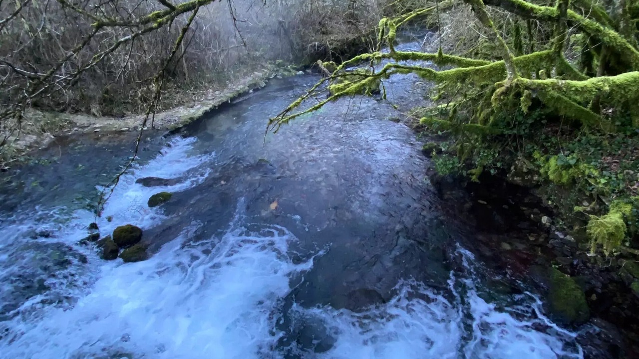 Photo of Others in Nant