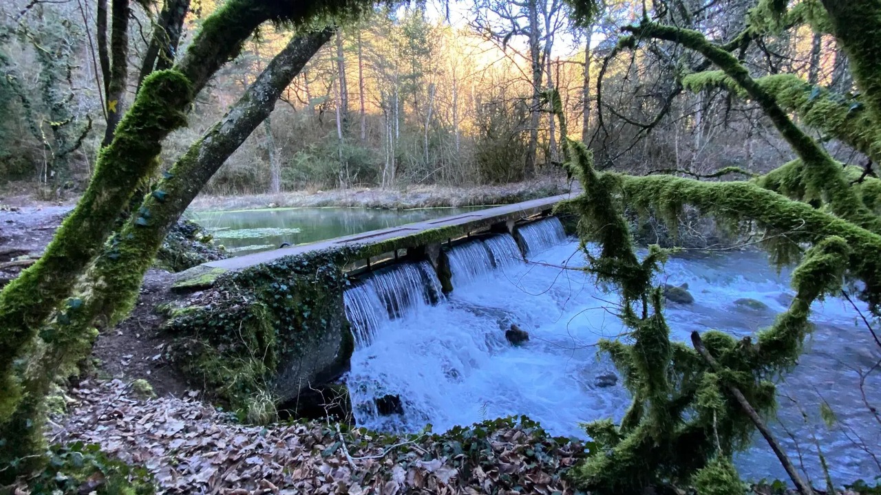 Photo of Others in Nant