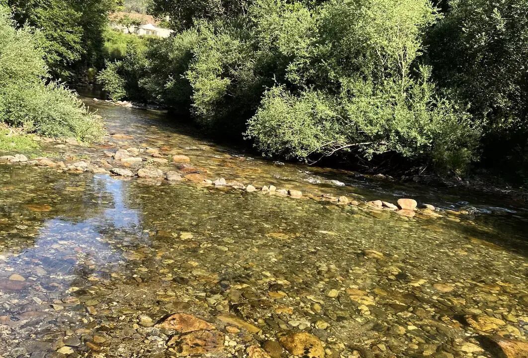 Photo of Others in Nant