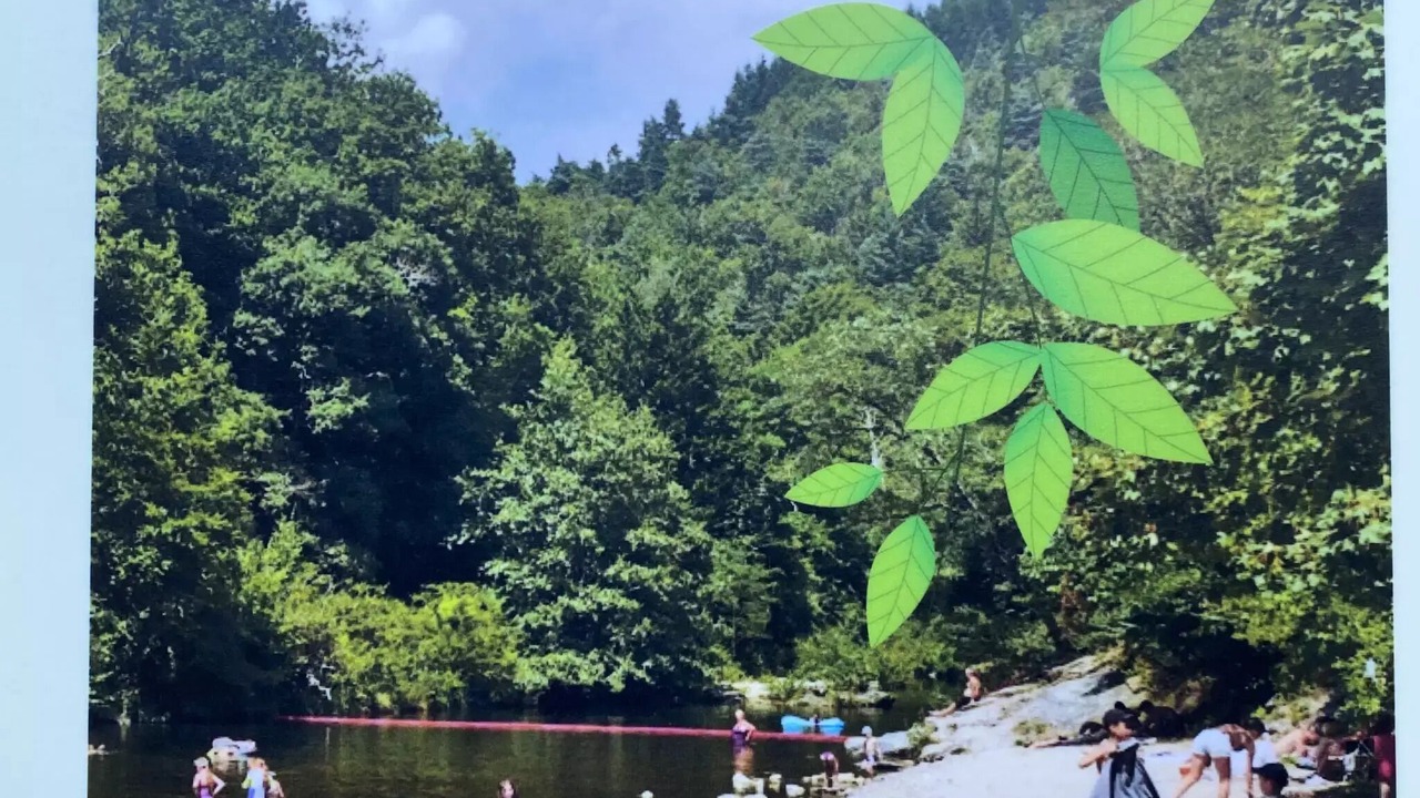 Photo of Others in Nant