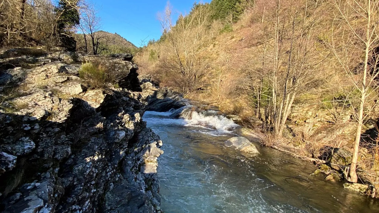 Photo of Others in Nant