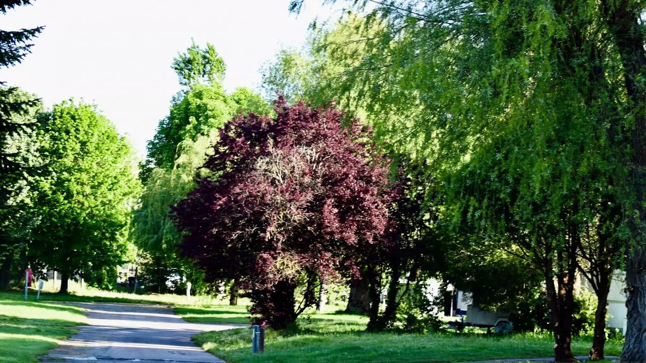 Photo of Others in Pont-sur-Yonne