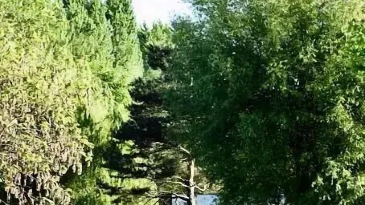 Photo of Others in Pont-sur-Yonne