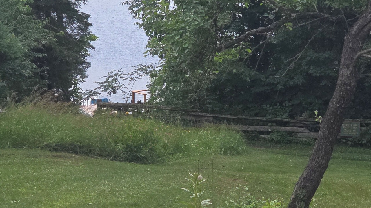 Photo of Others in Denbigh