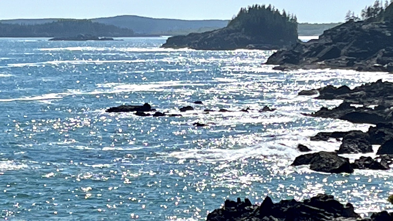 Photo of Others in Cutler