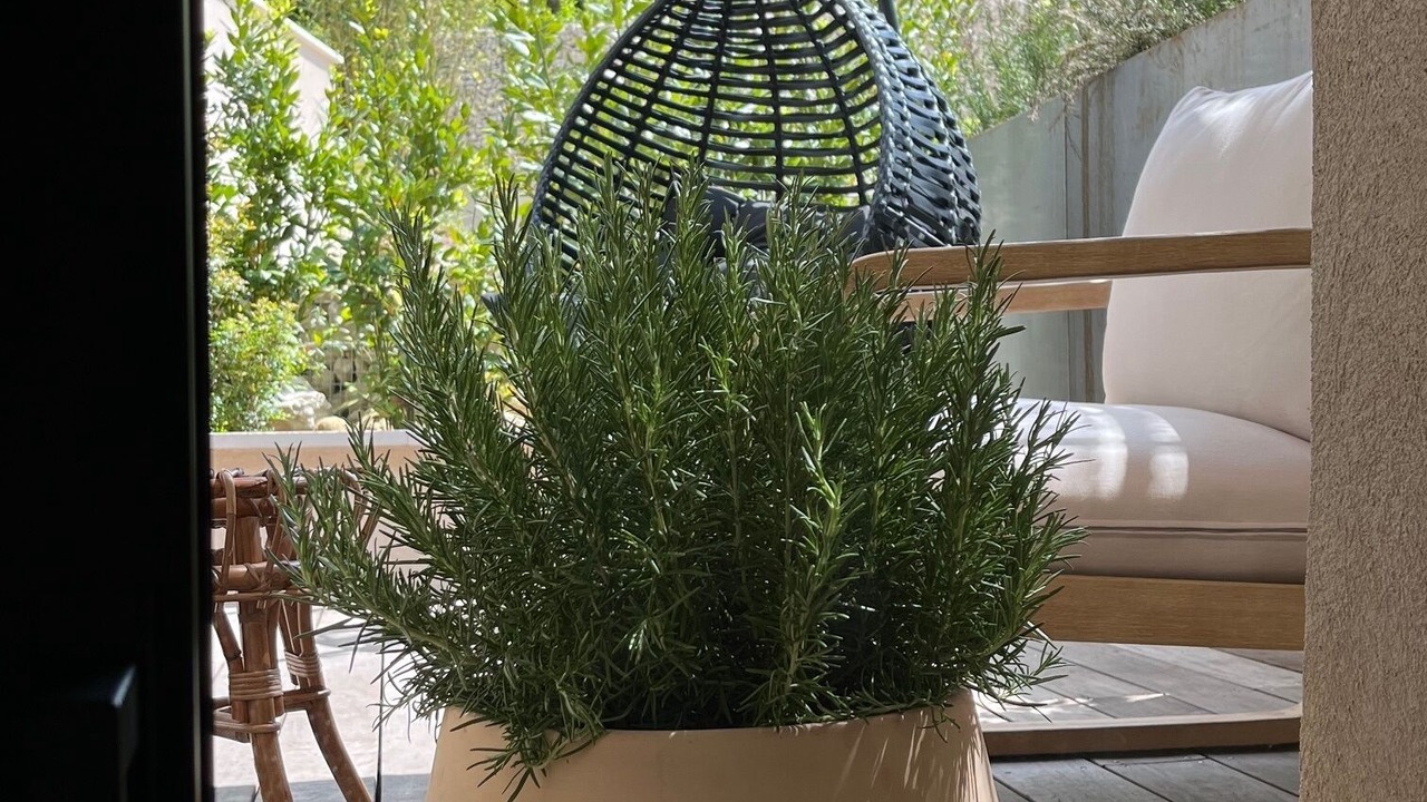 Photo of Patio Balcony in Gigondas