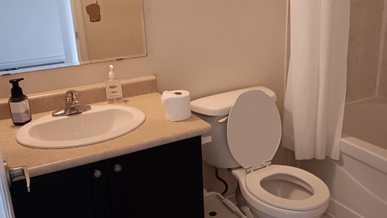 Photo of Bathroom in Brampton