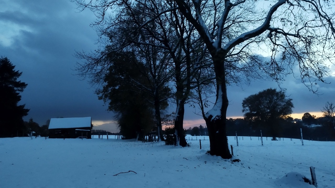 Photo of Others in La Chaise-Baudouin
