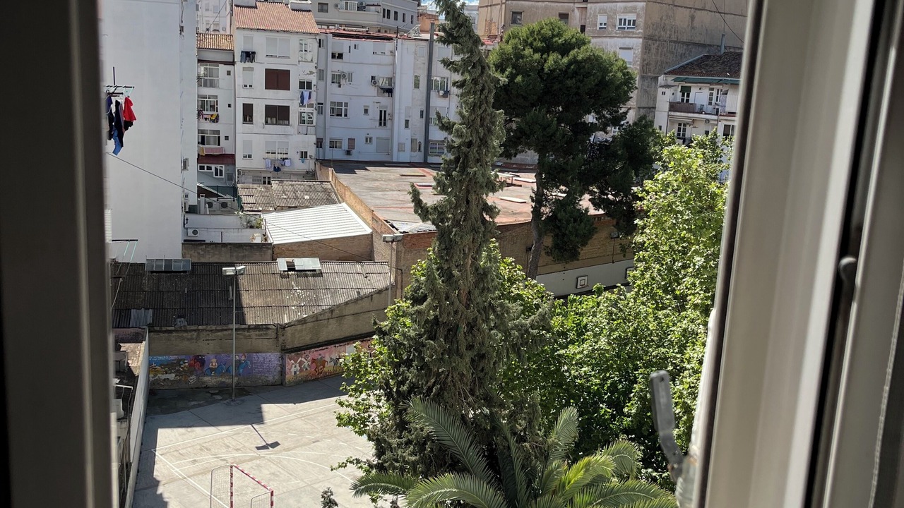 Photo of Others in Arrancapins
