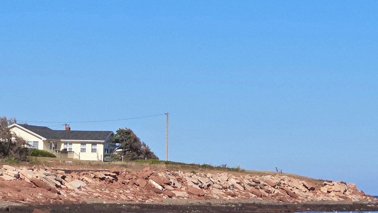 Photo of Others in Savage Harbour