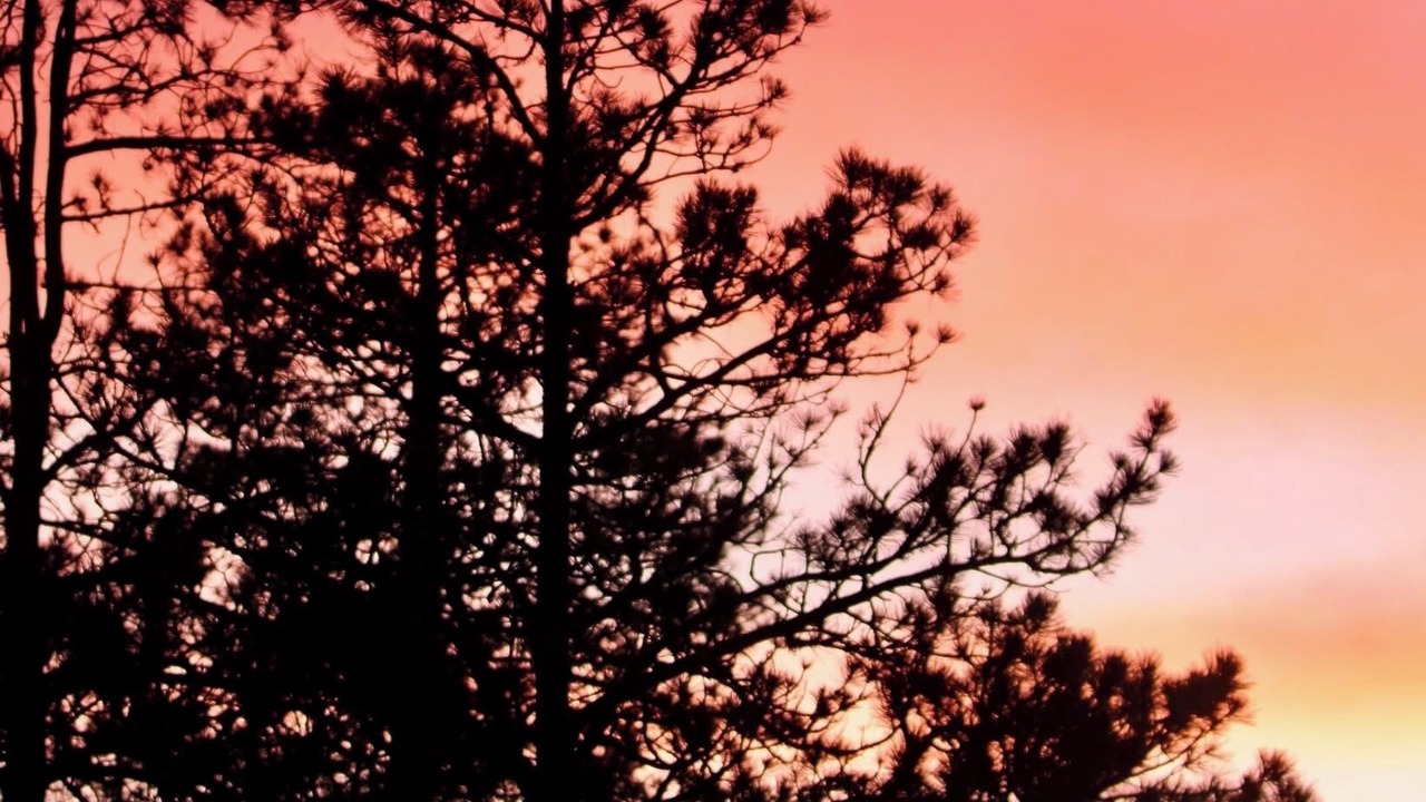 Photo of Others in Cloudcroft