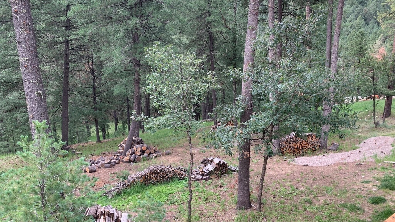 Photo of Outdoor in Cloudcroft