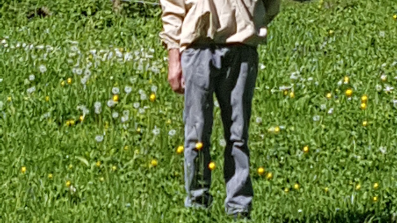 Photo of Others in Glarus Sued